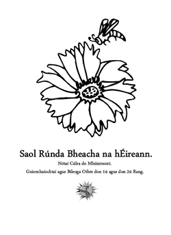 Secret Life Example Lesson Plans, in Irish.