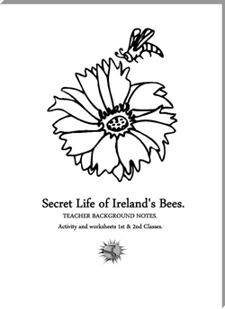 Secret Life Example Lesson Plans.