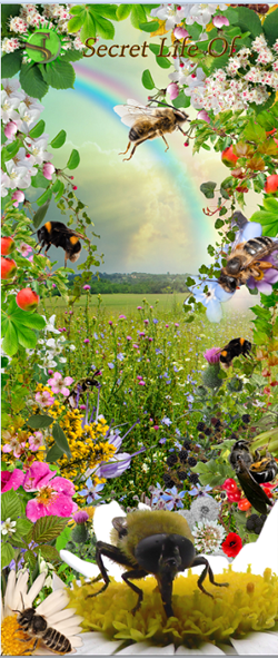 Secret Life 'Bees' banner.