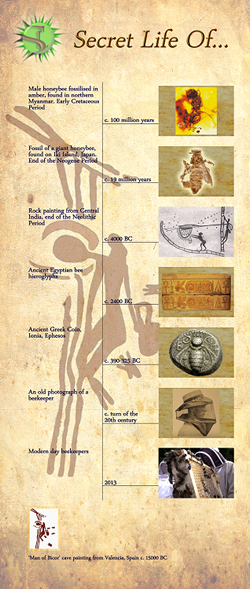 Secret Life 'History' banner.