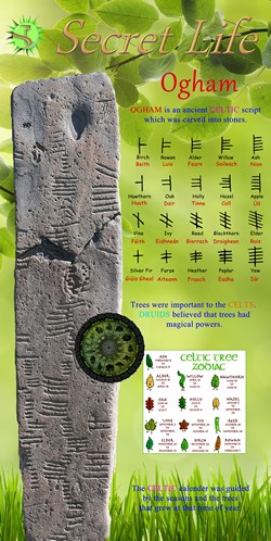 Secret Life 'Ogham' banner.